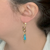 Rose set of 2 pendants and hoop earrings