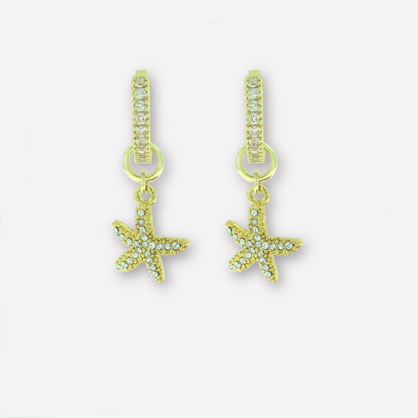 Star A set of earrings and a necklace with a pearl and a star