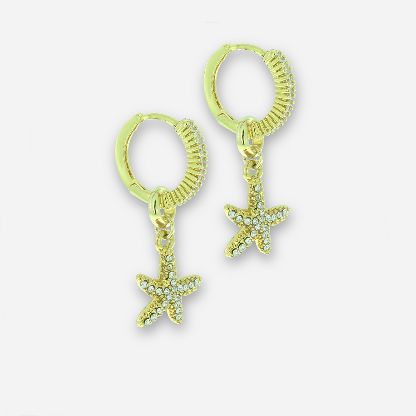 Star A set of earrings and a necklace with a pearl and a star