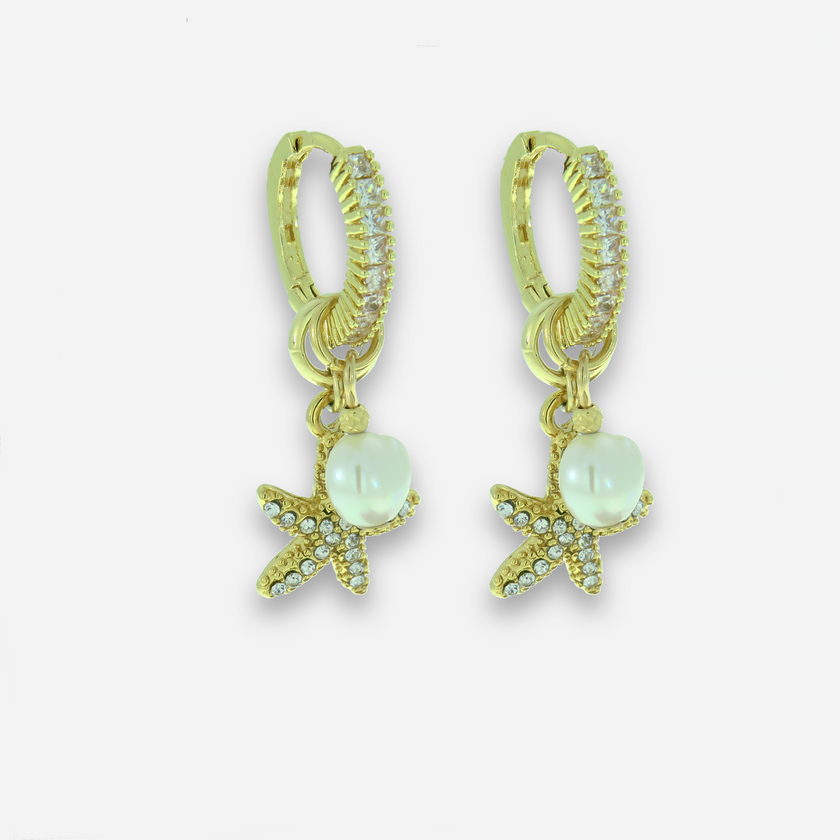 Star A set of earrings and a necklace with a pearl and a star