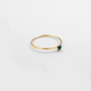 Turquoise gold-filled ring