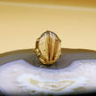 Silver ring with rutile quartz